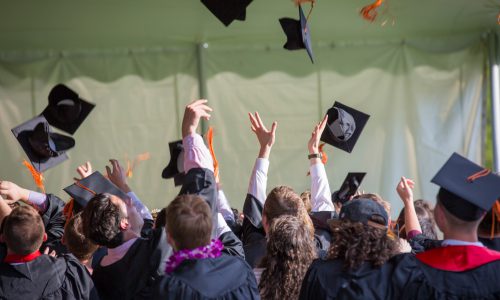 graduation hats